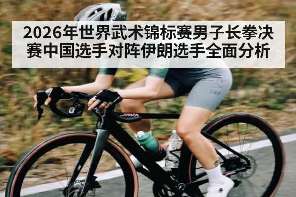 2026年世界武术锦标赛男子长拳决赛中国选手对阵伊朗选手全面分析